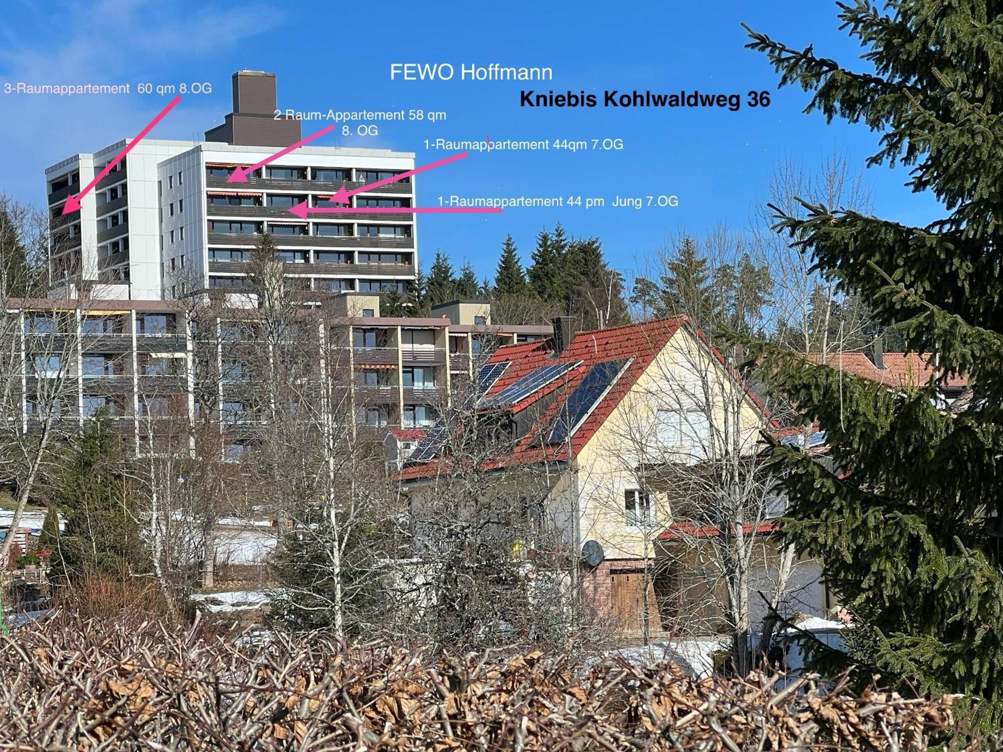 3- 2-1 - Raum - Ferienappartements Dieter Hoffmann Freudenstadt-Kniebis Beim Nationalpark Екстер'єр фото